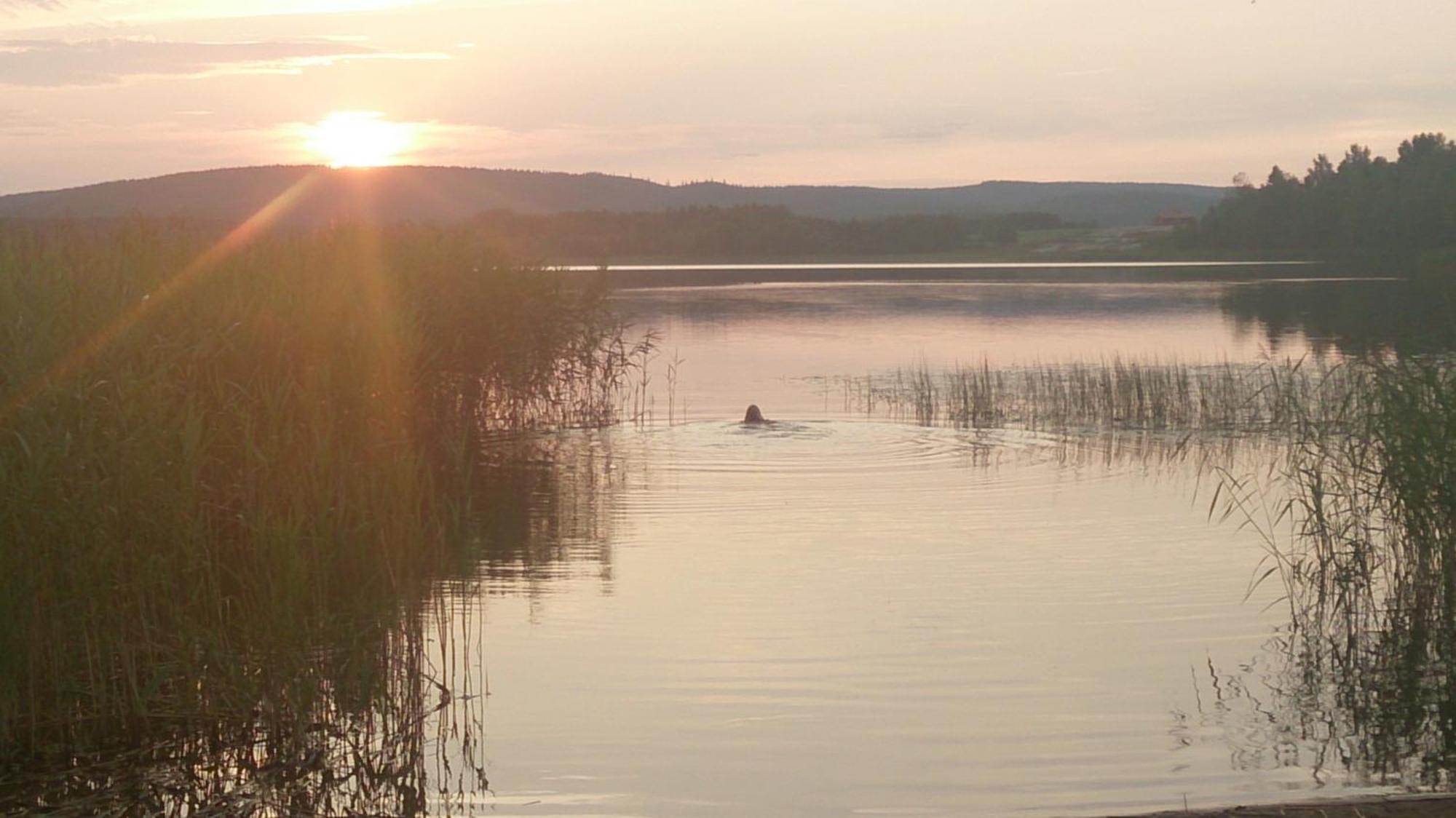 Roeda Stugan Hedemora Kültér fotó